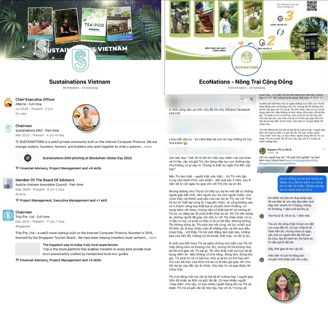Supporting exhibits: Hai Ho's LinkedIn profile listing concurrent roles at Alterno, Sustainations DAO, Austria-Vietnam Innovation Council, and Triip Pte. Ltd; public Facebook pages of Sustainations Vietnam (6K followers) and EcoNations (5.6K followers); and public posts from investors discussing unreturned contributions to Le Na projects